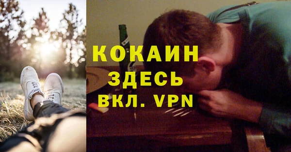 мет Арсеньев