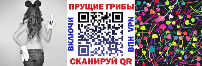 Псилоцибиновые грибы Psilocybine cubensis Рошаль