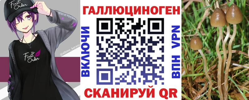 Галлюциногенные грибы Psilocybe  Купить  Рошаль 
